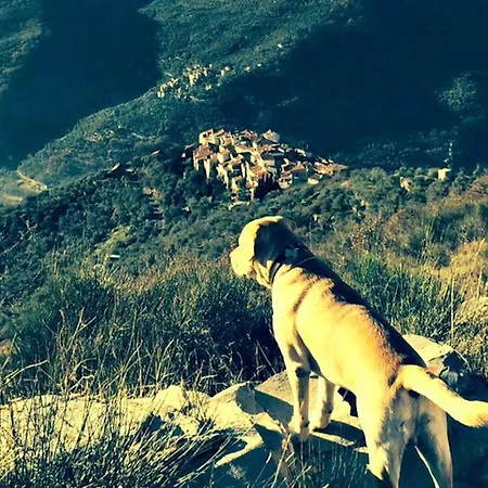 Panoramic Rural House With Garden 度假居 Chiusanico